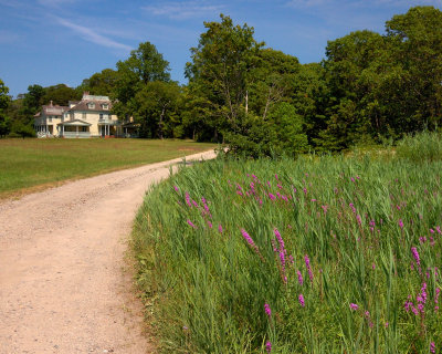 Meadow Croft Estate, Bayport, NY