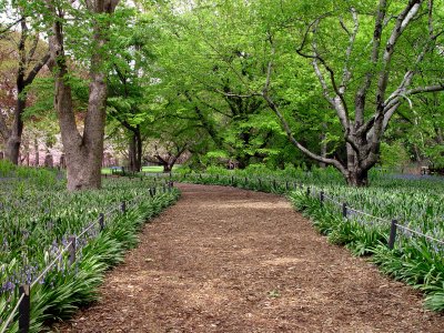 Brooklyn Botanic Garden