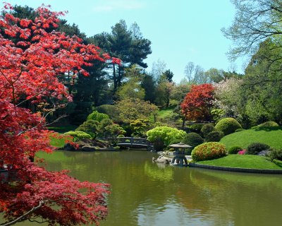 Brooklyn Botanic Garden