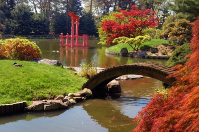 Brooklyn Botanic Garden
