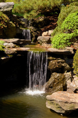 Brooklyn Botanic Garden