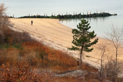 Sands Point Preserve