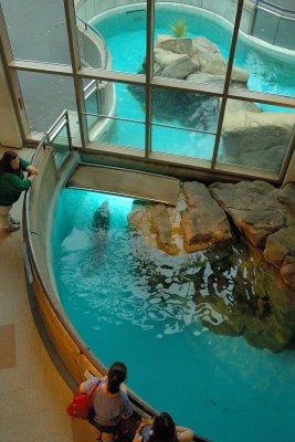 The Maritime Aquarium, South Norwalk