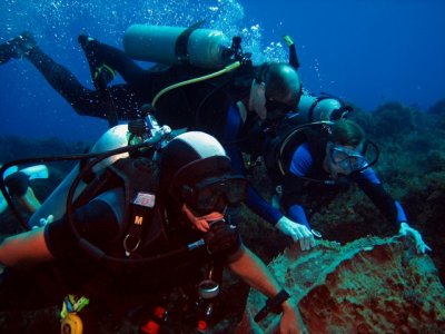 Everyone holding onto a sponge so others could catch up