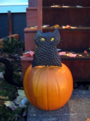 A kitty-o-lantern