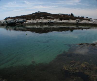 Cranberry Cove - another dive spot that we dropped by