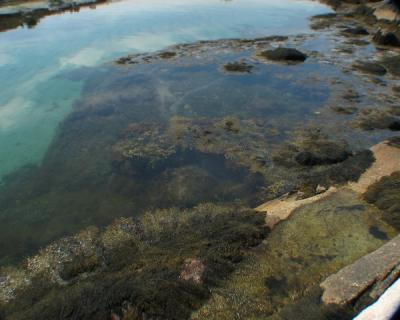 More great underwater scenery from the shore