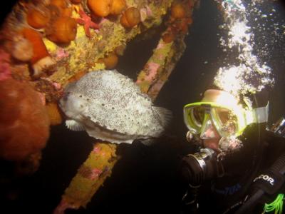 Lumpfish  with Stephanie