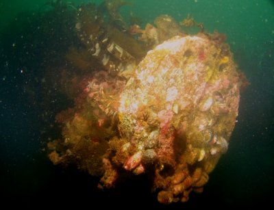 Montara 004.jpg
