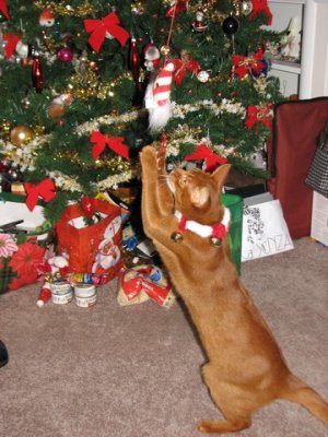 ATTACK!!!!
