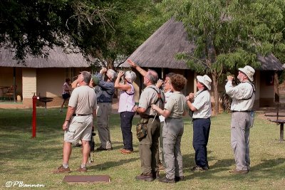 Camp Pretoriuskop, parc Kruger, 21 novembre 2007