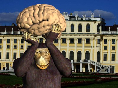 Monkey Brain