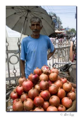 Asha Nab - Pomegranite Vendor