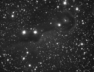 vdB142 - The Elephant Trunk Nebula (part of IC1396)
