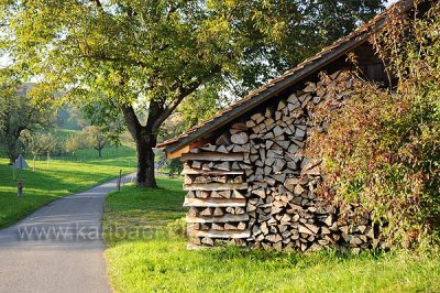 Holz (116864)