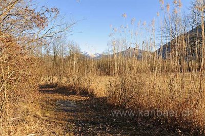 g4/21/471621/3/140953378.vju5AQ5w.jpg