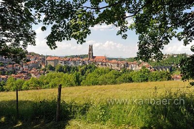 Fribourg (123394)