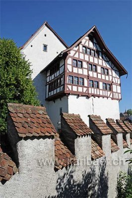 Burg (124091)
