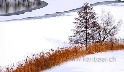 See im Winter / Lake In Winter (0938)