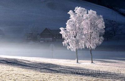 Winter in Menzingen (Schweiz / Switzerland) I