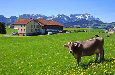 Appenzell (2022)