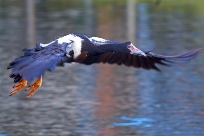 DSC_1615.jpg