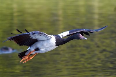 DSC_1619.jpg