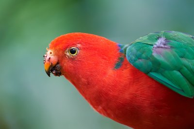 DSC_7348.jpg