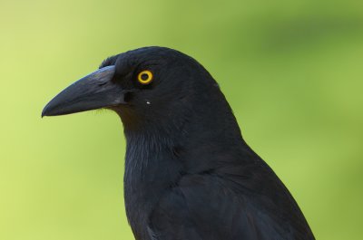 DSC_3067.jpg