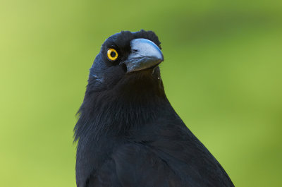 DSC_3069.jpg