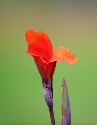 DSC_1631.jpg