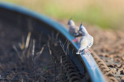 DSC_4557.jpg