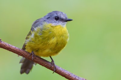 DSC_4986.jpg