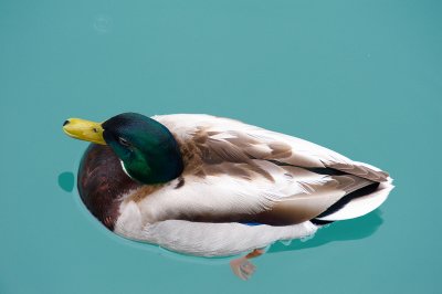 DSC_9759.jpg