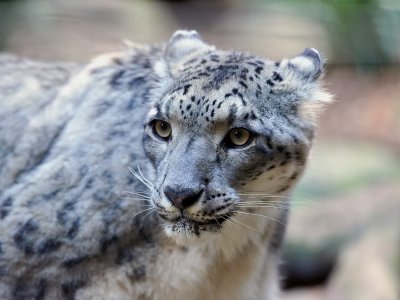 DSC_4945.jpg