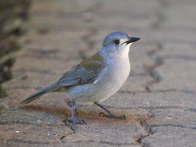 DSC_6205.jpg