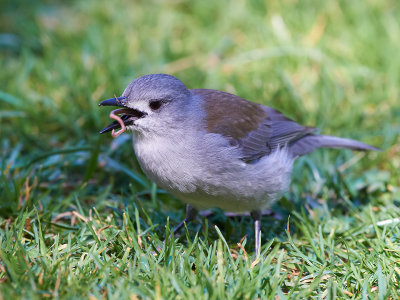 DSC_6234.jpg