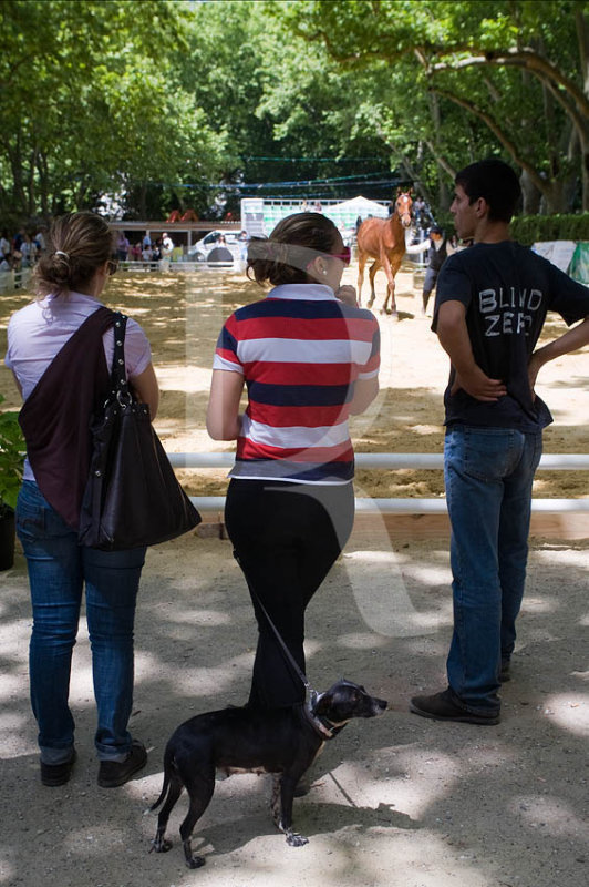 II Feira Equestre Oeste Lusitano