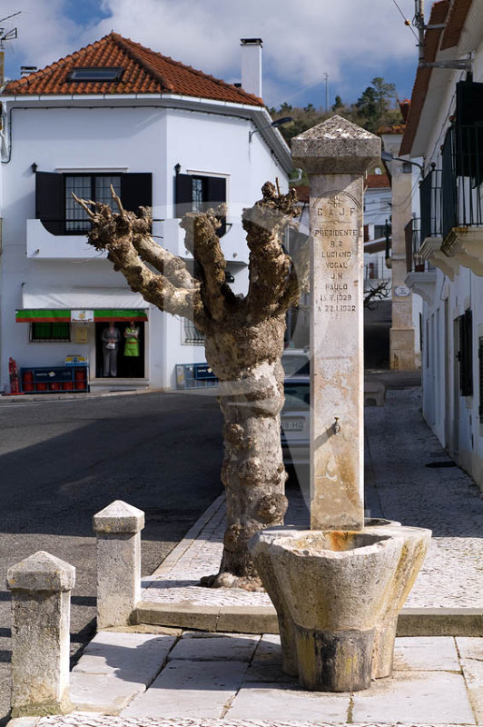O Chafariz de Santa Catarina