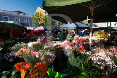 A Praça da Fruta em 16 de abril de 2011