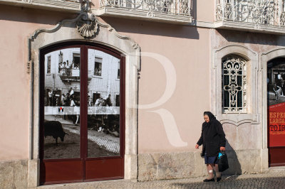 Museu Municipal  de Vila Franca de Xira