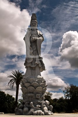 Bacalha Buddha Eden 