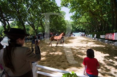 II Feira Equestre Oeste Lusitano