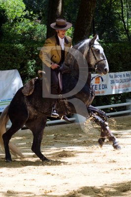 II Feira Equestre Oeste Lusitano