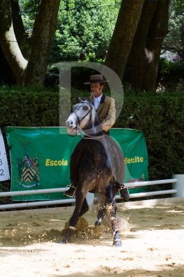 II Feira Equestre Oeste Lusitano