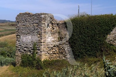 Restos da Torre e Muralhas do Antigo Castelo (IIP)