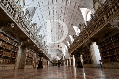 A Biblioteca do Palcio Nacional de Mafra