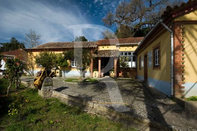 The Ceramics - The Artistic Ceramics Museum of Rafael Bordalo Pinheiro