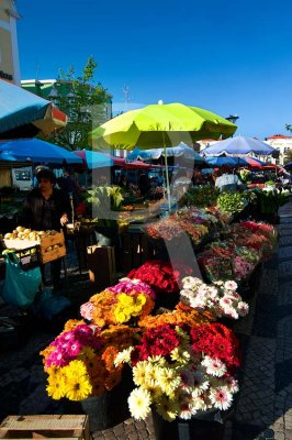 A Praça da Fruta em 16 de abril de 2011