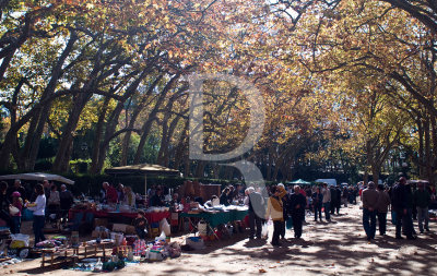 O Parque D. Carlos em 9 de novembro de 2008